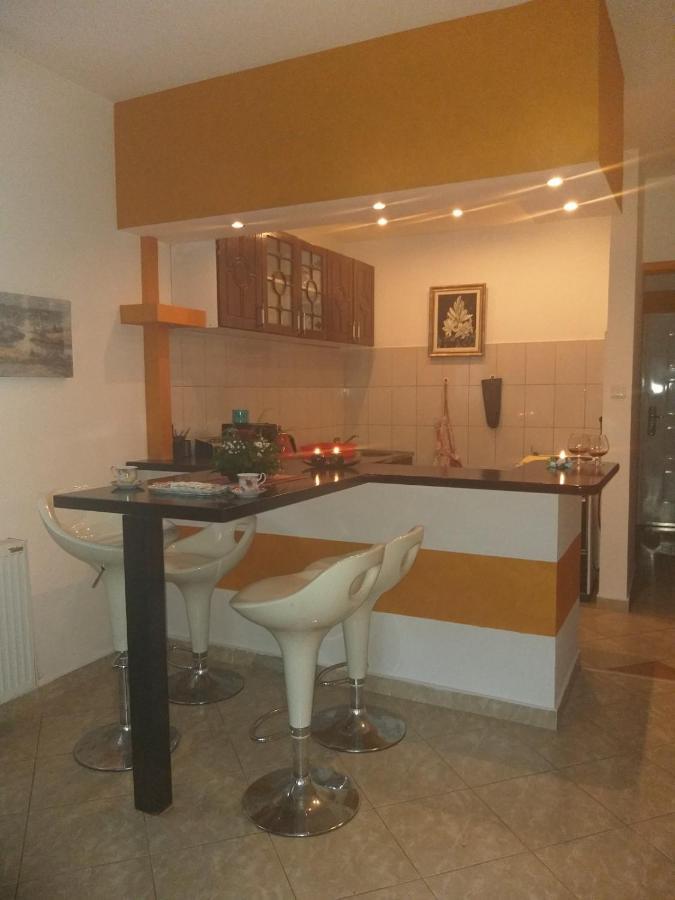 Ferienwohnung Apartman Nv Vrnjačka Banja Exterior foto
