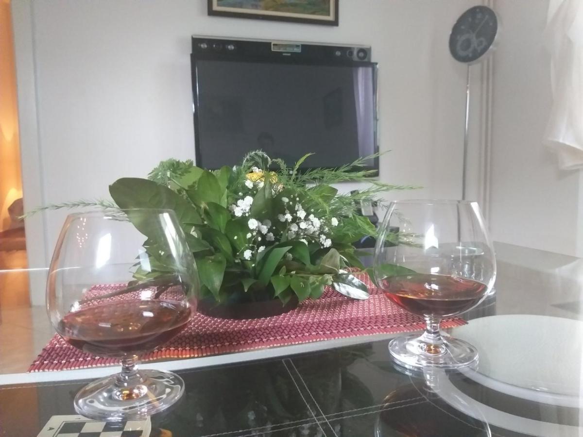 Ferienwohnung Apartman Nv Vrnjačka Banja Exterior foto